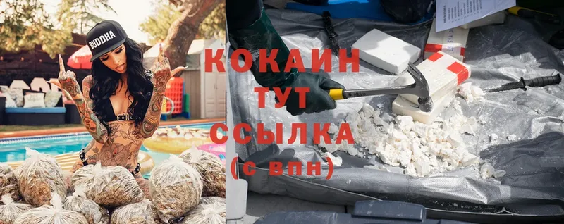 Cocaine Эквадор  mega ссылки  Лысьва 